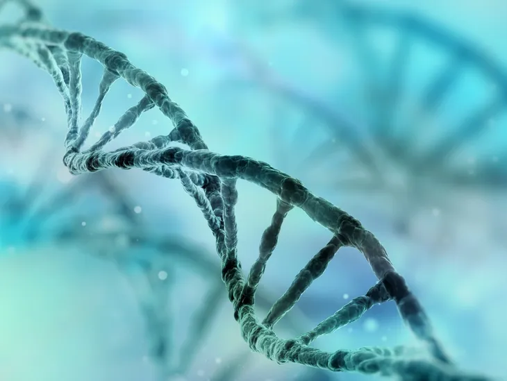Shop Peptides